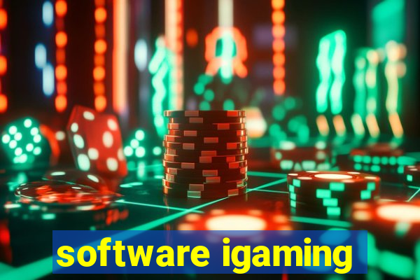 software igaming