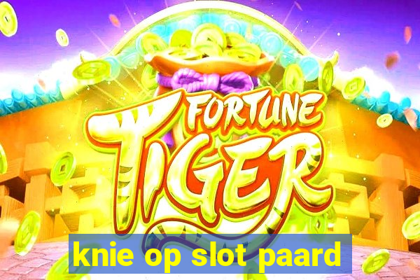 knie op slot paard