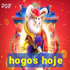 hogos hoje