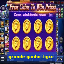 grande ganho tigre