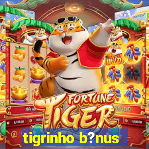 tigrinho b?nus