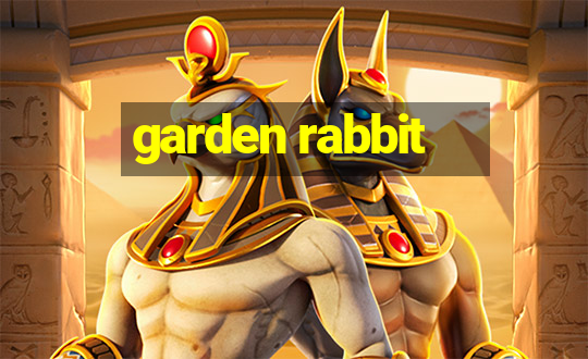 garden rabbit