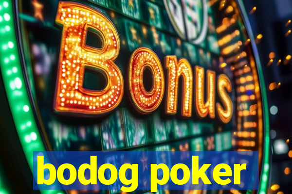 bodog poker