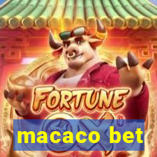 macaco bet