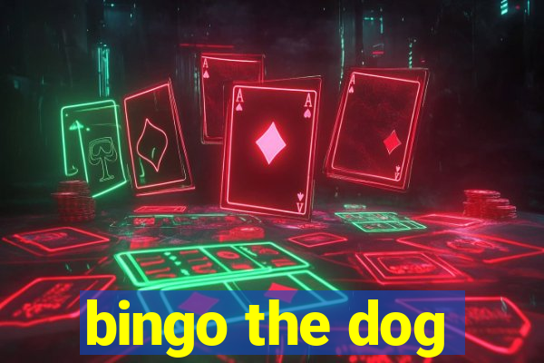 bingo the dog