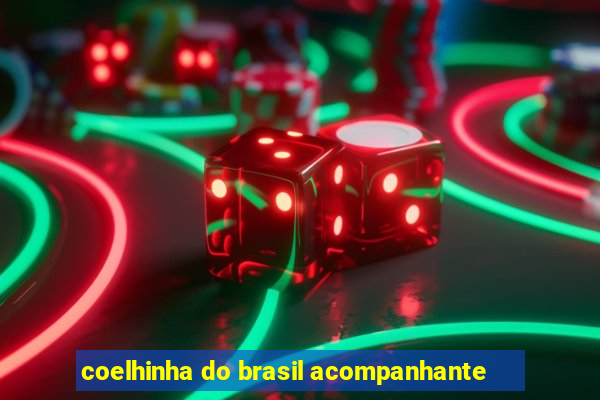 coelhinha do brasil acompanhante