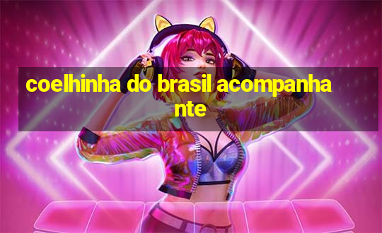 coelhinha do brasil acompanhante