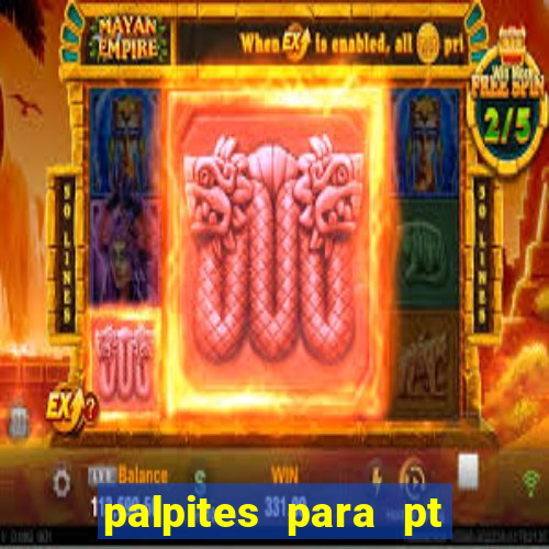 palpites para pt de hoje