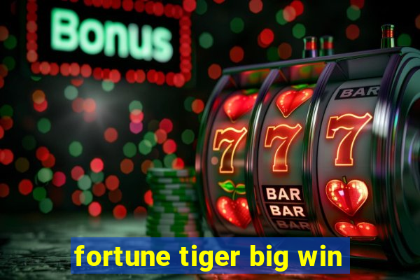 fortune tiger big win