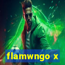 flamwngo x