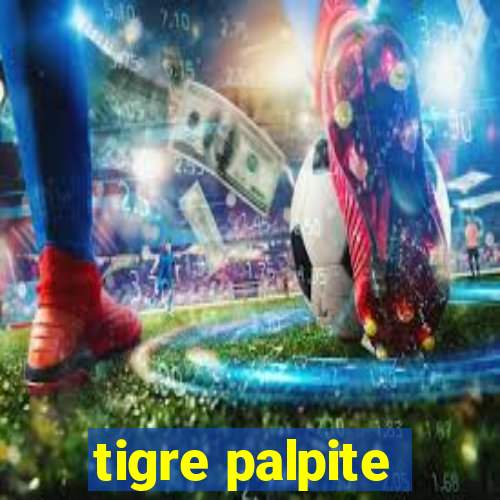 tigre palpite