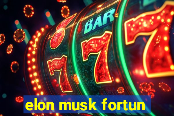 elon musk fortun