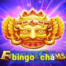 bingo chá revela??o pdf