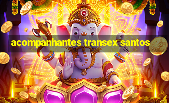 acompanhantes transex santos