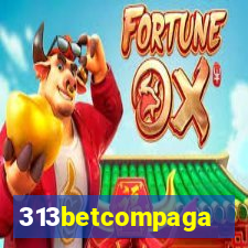 313betcompaga