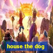 house the dog