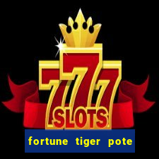 fortune tiger pote de ouro completo