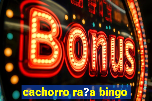 cachorro ra?a bingo