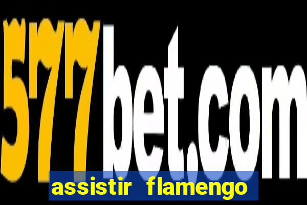 assistir flamengo futebol play hd