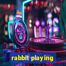 rabbit playing