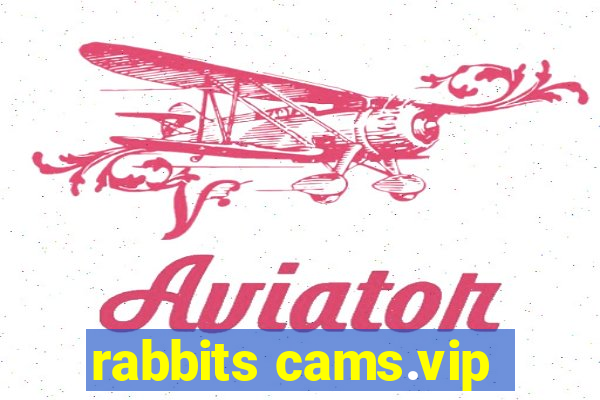 rabbits cams.vip