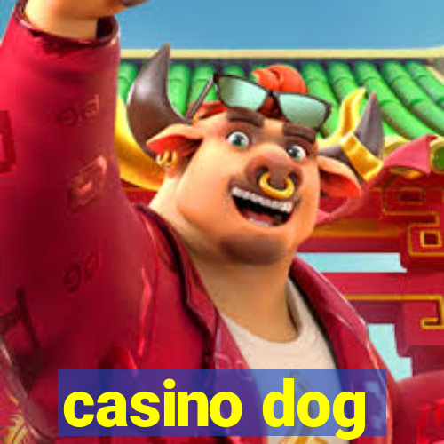 casino dog