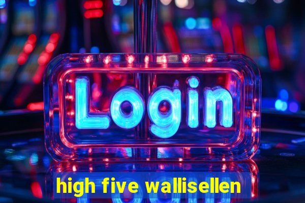 high five wallisellen