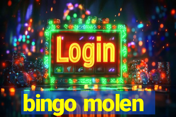 bingo molen