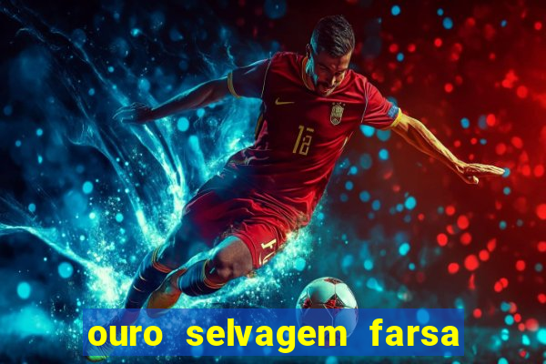 ouro selvagem farsa ouro selvagem o que aconteceu