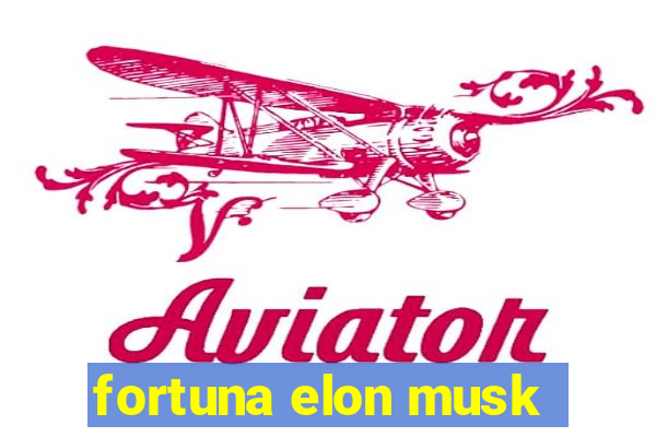 fortuna elon musk