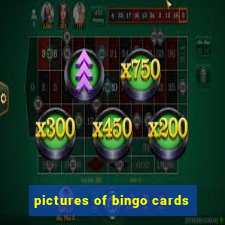 pictures of bingo cards