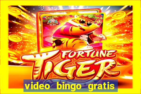 video bingo gratis para brincar