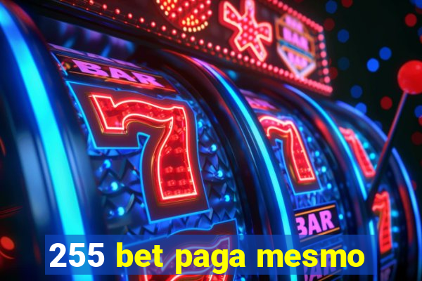 255 bet paga mesmo