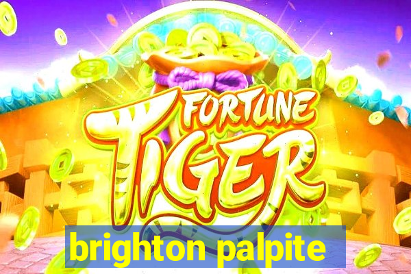 brighton palpite