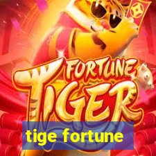 tige fortune