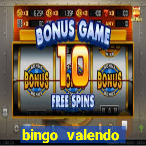 bingo valendo dinheiro online