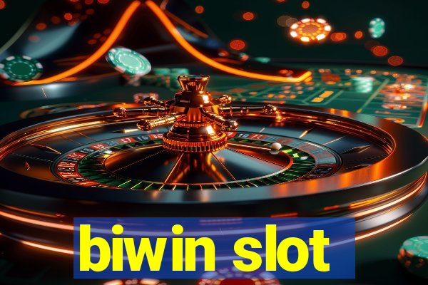 biwin slot