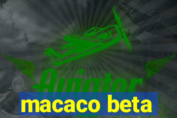 macaco beta