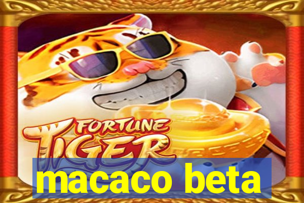 macaco beta