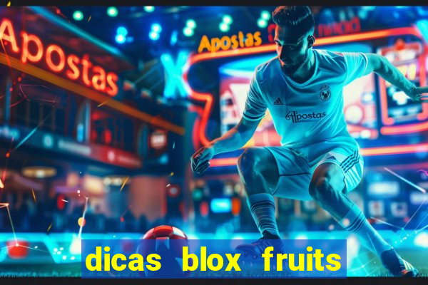 dicas blox fruits sea 1