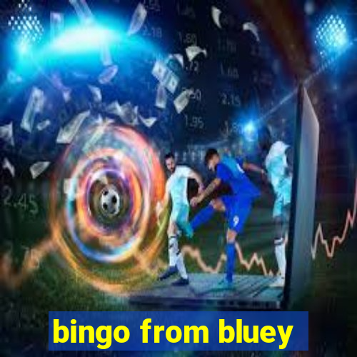 bingo from bluey