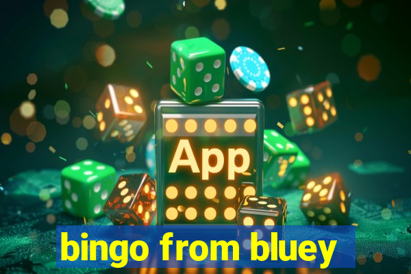 bingo from bluey