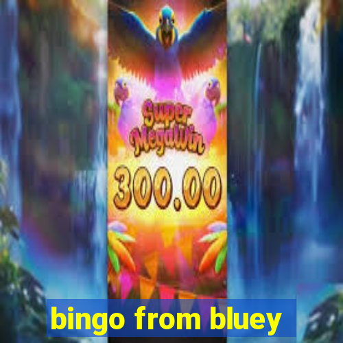 bingo from bluey