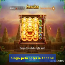 bingo pela loteria federal