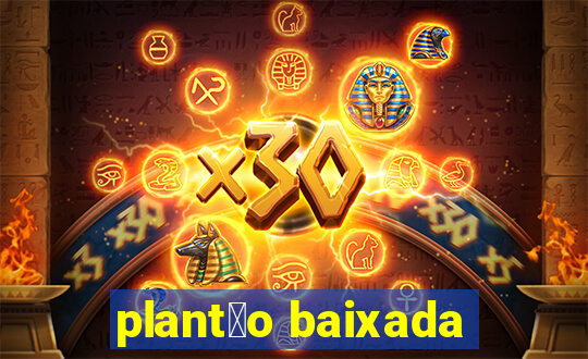 plant茫o baixada