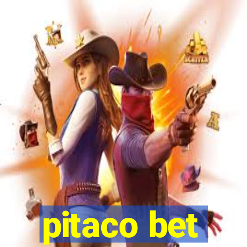 pitaco bet