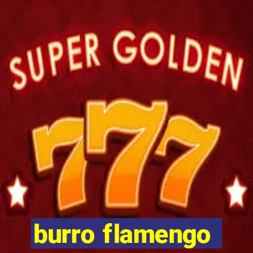 burro flamengo