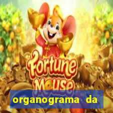 organograma da cacau show