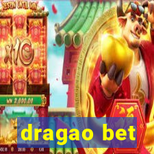 dragao bet