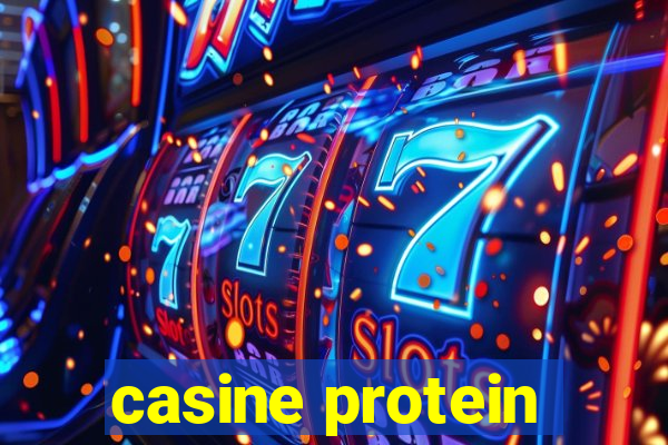 casine protein